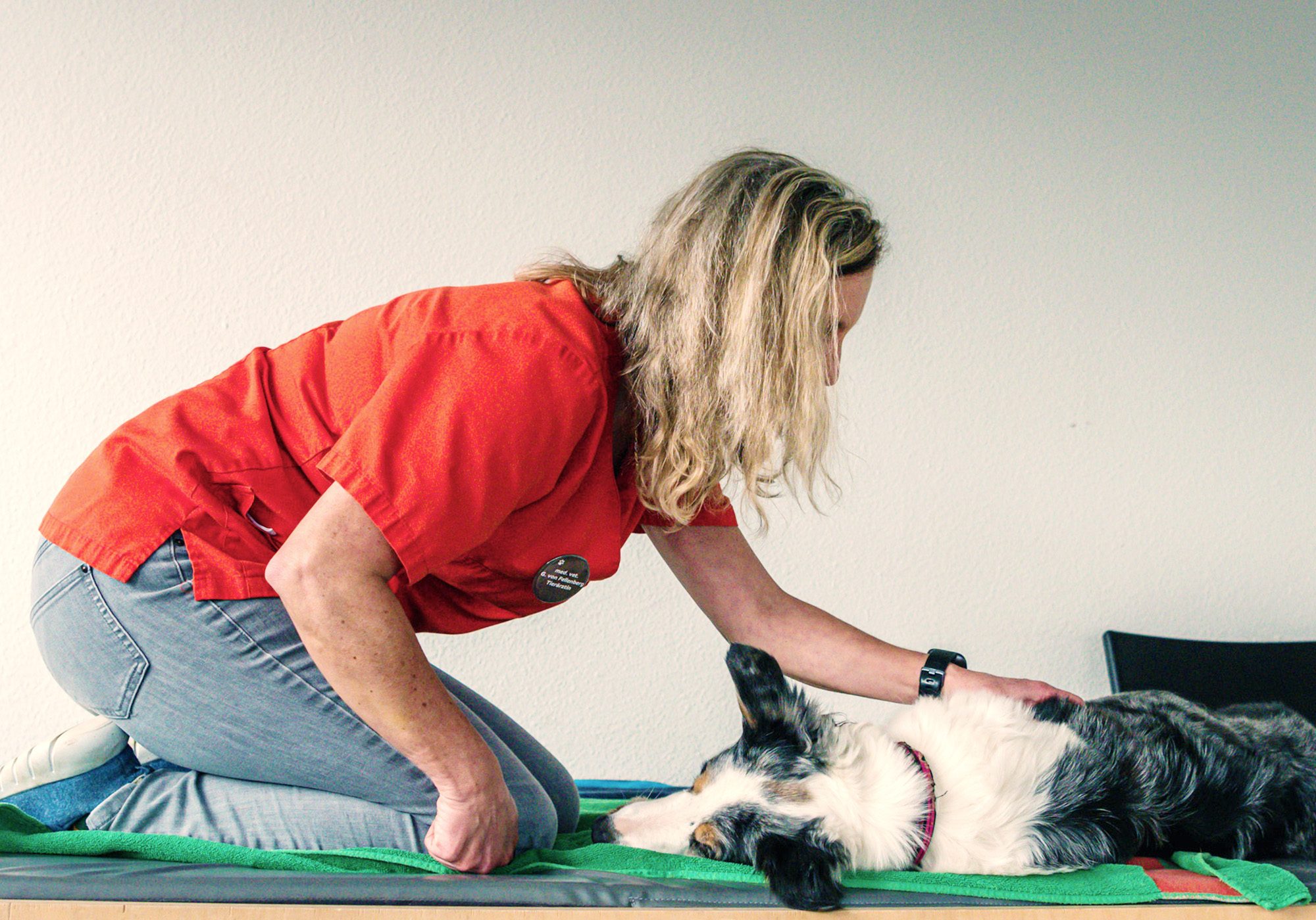 Physiotherapie am Hund in der Praxis für das Tier